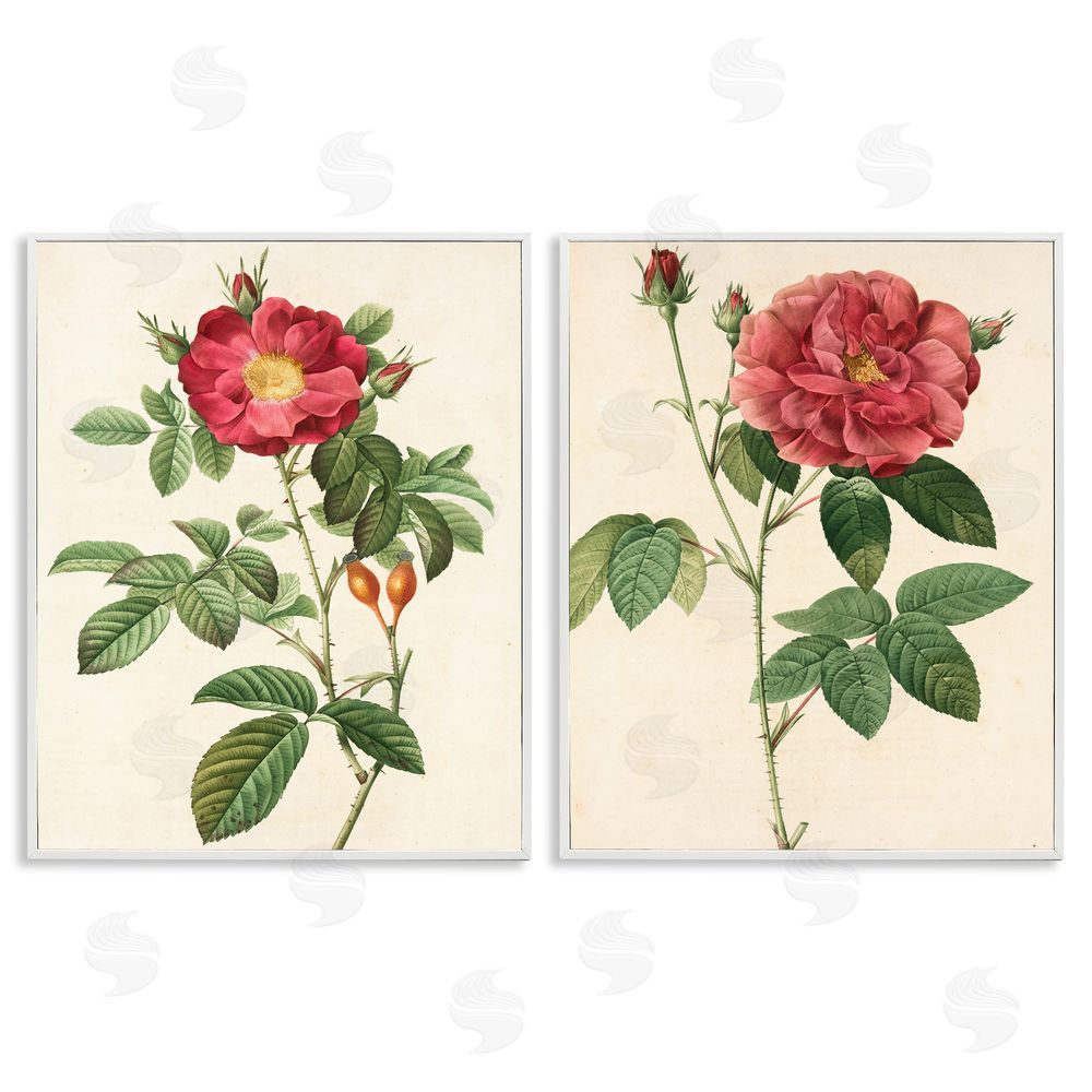 Ziwei Li Traditional Red Flowers with Floral Stem White Framed Giclee Wall Art Print
