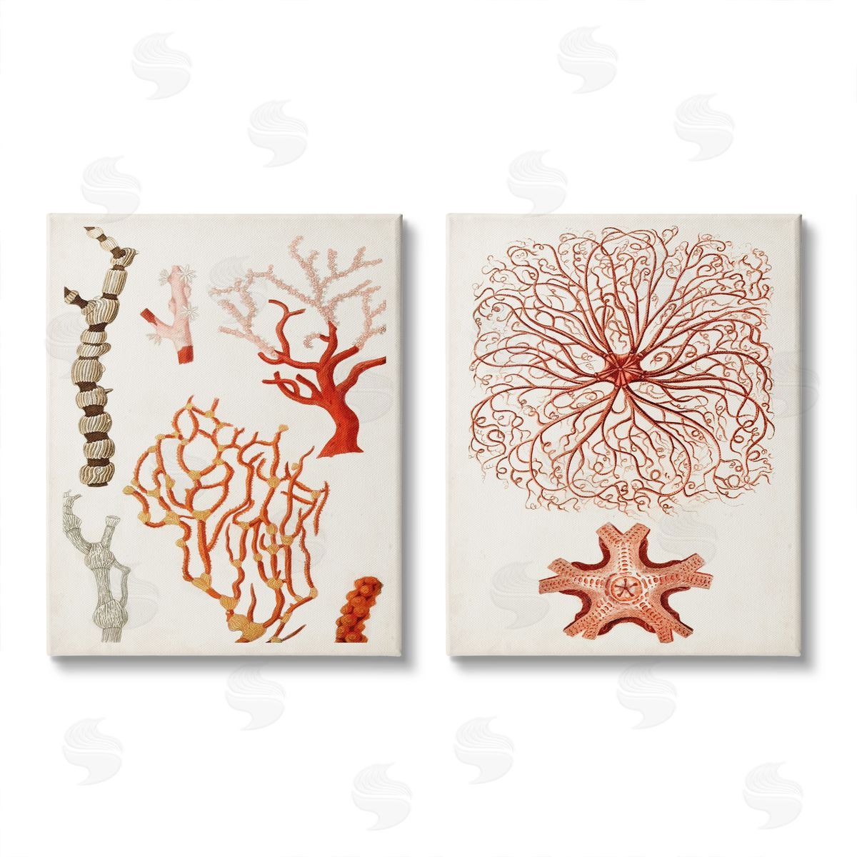 Unknown Artist Collage of Unique Ocean Coral Red Brown Canvas Wall Art Print