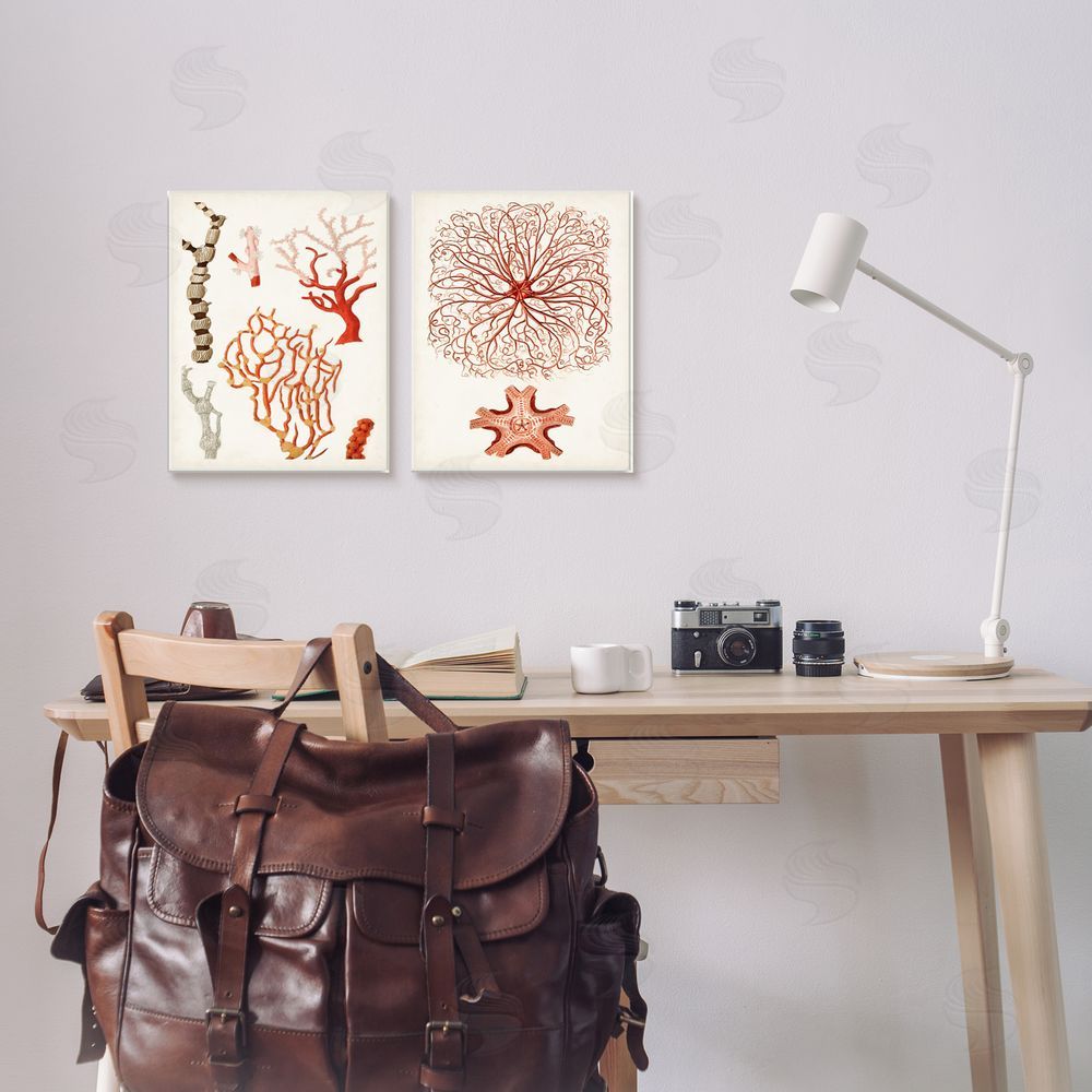 Unknown Artist Collage of Unique Ocean Coral Red Brown Canvas Wall Art Print in Room