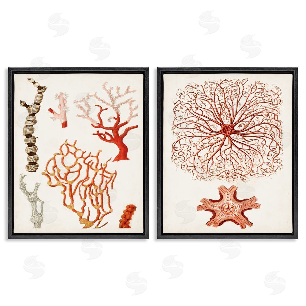 Unknown Artist Collage of Unique Ocean Coral Red Brown Black Floating Frame Canvas Wall Art Print