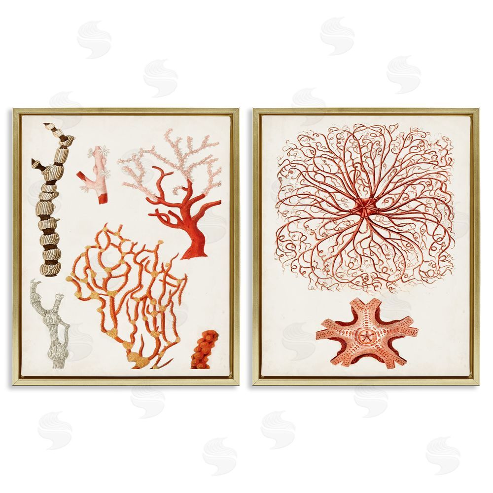 Unknown Artist Collage of Unique Ocean Coral Red Brown Gold Floating Frame Canvas Wall Art Print