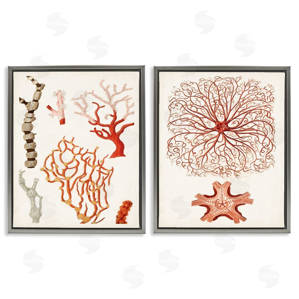 Unknown Artist Collage of Unique Ocean Coral Red Brown Gray Floating Frame Canvas Wall Art Print