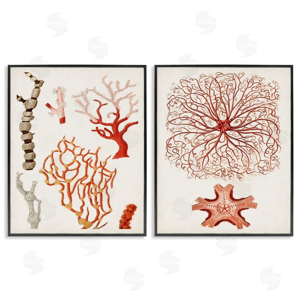 Unknown Artist Collage of Unique Ocean Coral Red Brown Black Framed Giclee Wall Art Print