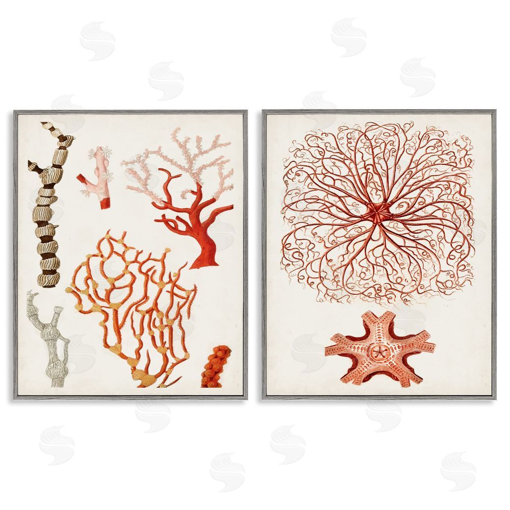 Unknown Artist Collage of Unique Ocean Coral Red Brown Gray Framed Giclee Wall Art Print