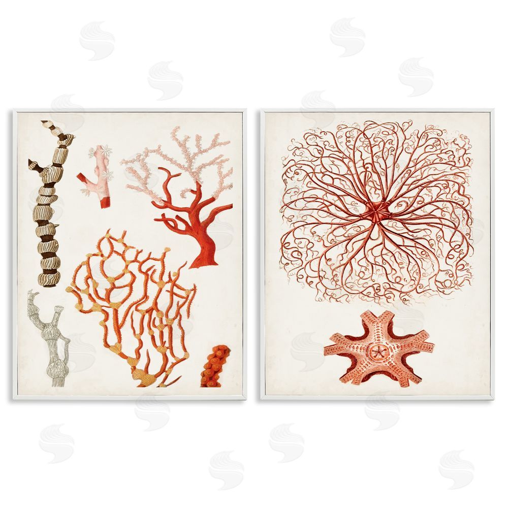 Unknown Artist Collage of Unique Ocean Coral Red Brown White Framed Giclee Wall Art Print