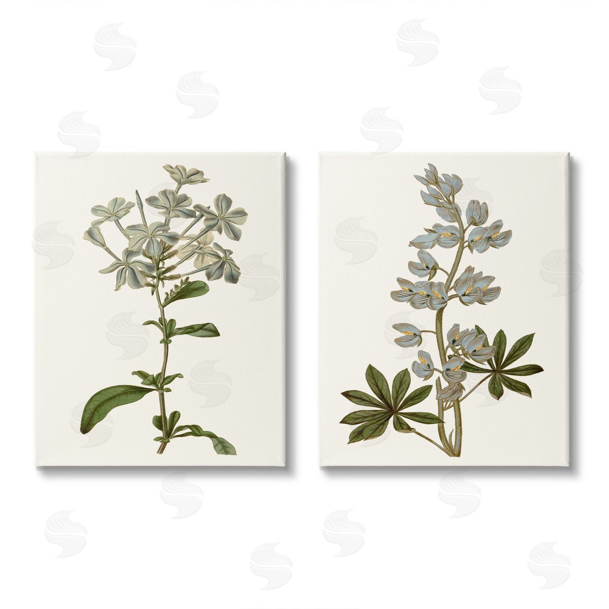 Curtis Vintage Illustrated Study of Blue Botanicals Canvas Wall Art Print