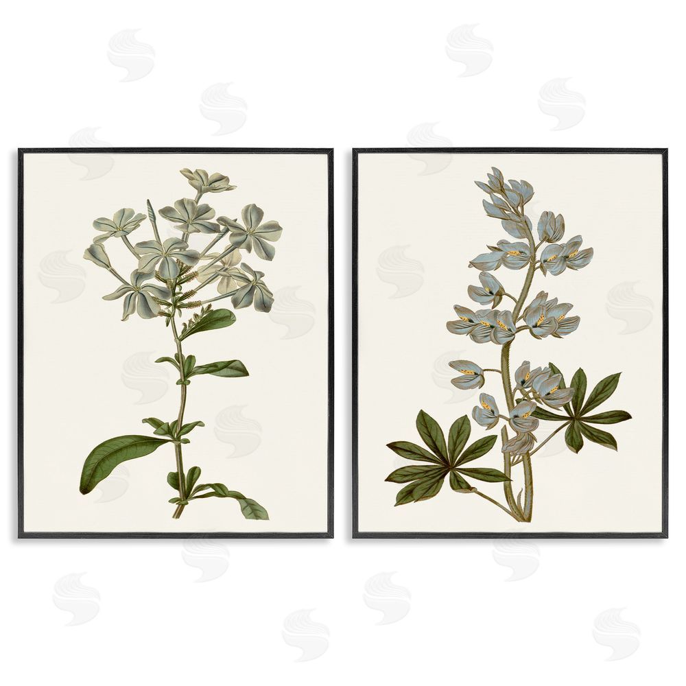 Curtis Vintage Illustrated Study of Blue Botanicals Black Framed Giclee Wall Art Print