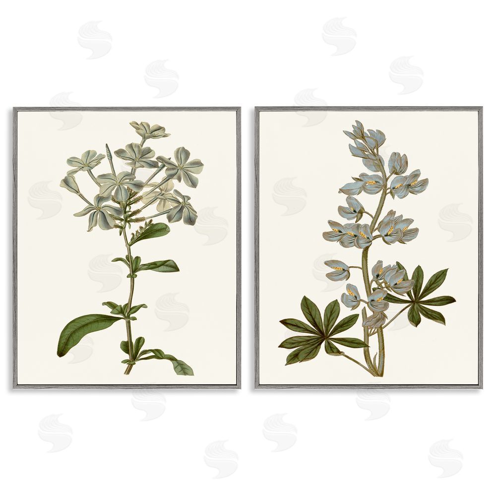 Curtis Vintage Illustrated Study of Blue Botanicals Gray Framed Giclee Wall Art Print
