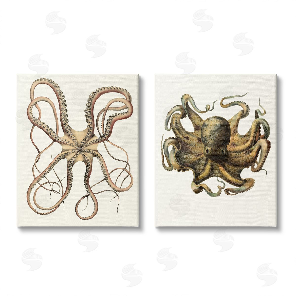 Unknown Artist Vintage Octopus Illustration Curved Tentacles Canvas Wall Art Print