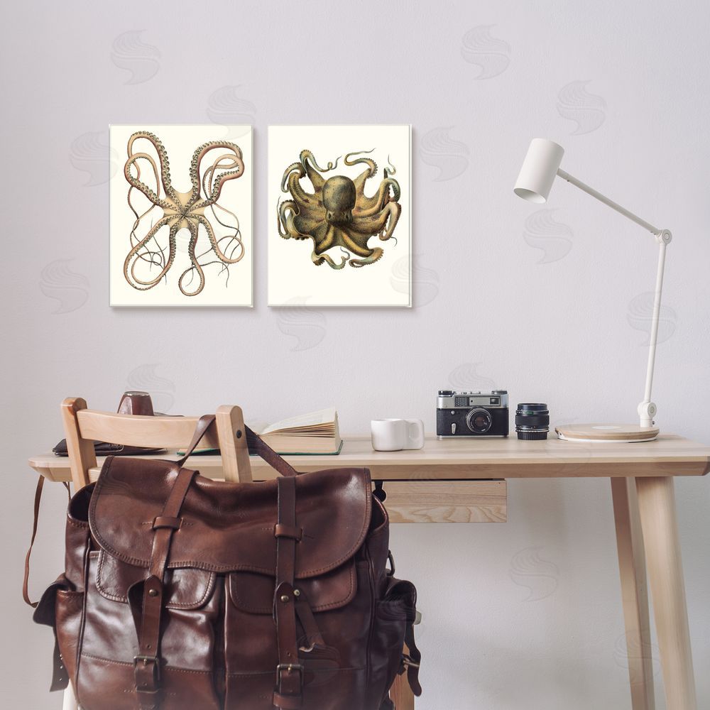 Unknown Artist Vintage Octopus Illustration Curved Tentacles Canvas Wall Art Print in Room
