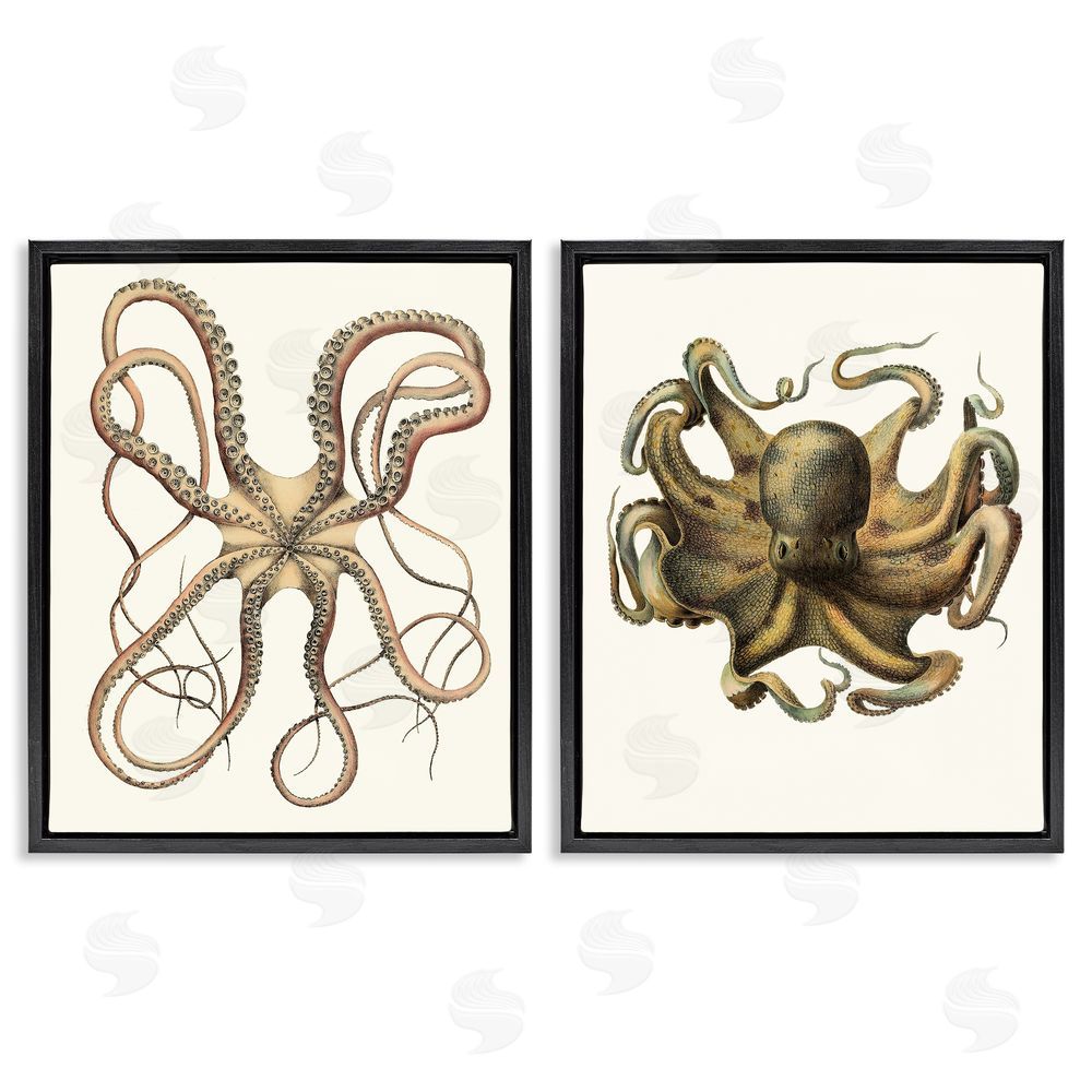 Unknown Artist Vintage Octopus Illustration Curved Tentacles Black Floating Frame Canvas Wall Art Print