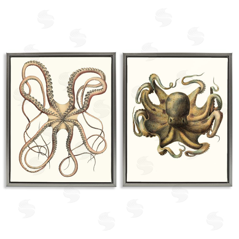 Unknown Artist Vintage Octopus Illustration Curved Tentacles Gray Floating Frame Canvas Wall Art Print