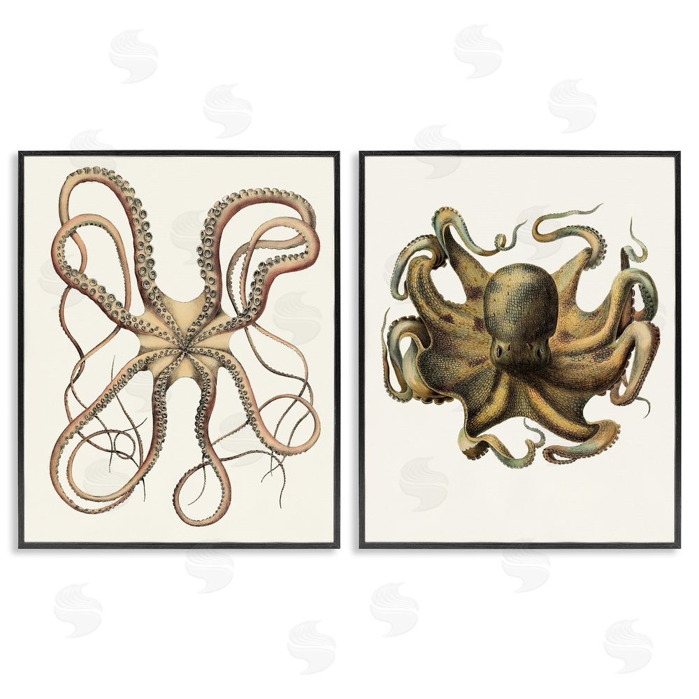 Unknown Artist Vintage Octopus Illustration Curved Tentacles Black Framed Giclee Wall Art Print