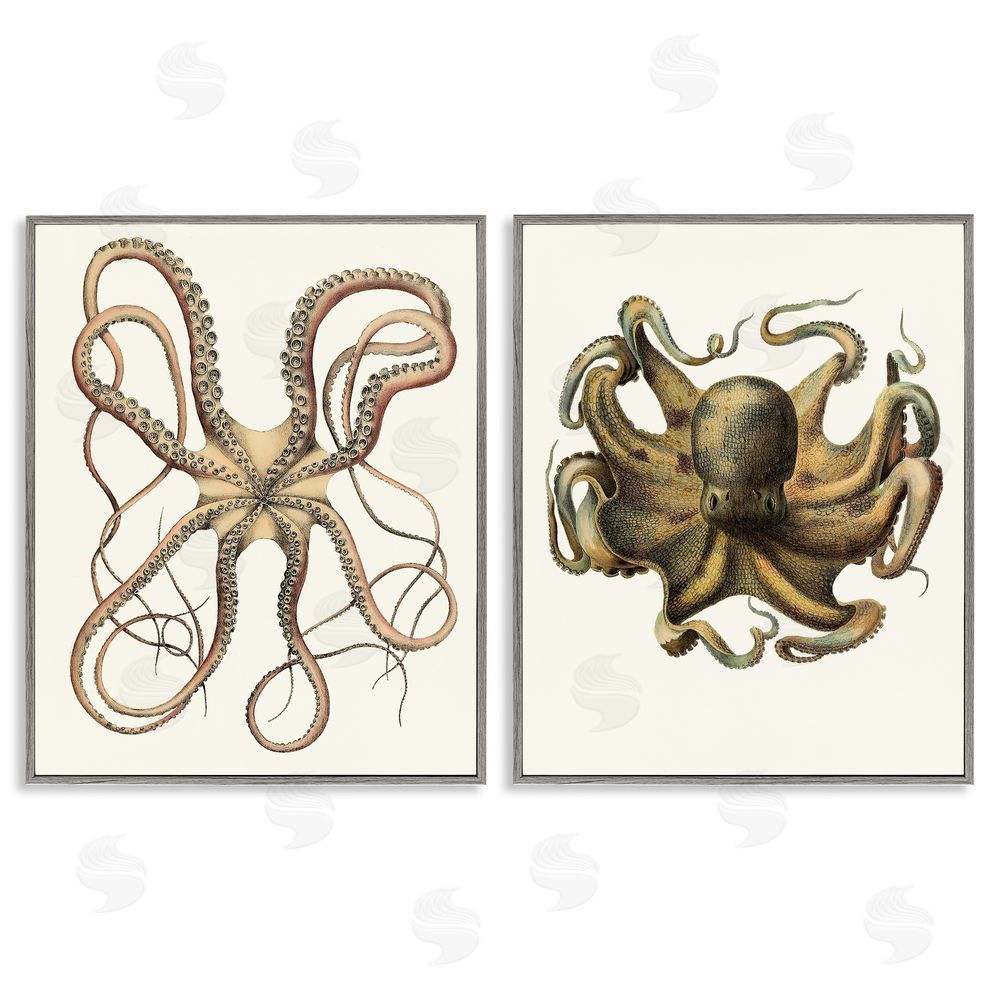Unknown Artist Vintage Octopus Illustration Curved Tentacles Gray Framed Giclee Wall Art Print