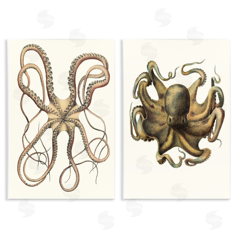 Unknown Artist Vintage Octopus Illustration Curved Tentacles Wooden Wall Plaque Art Print