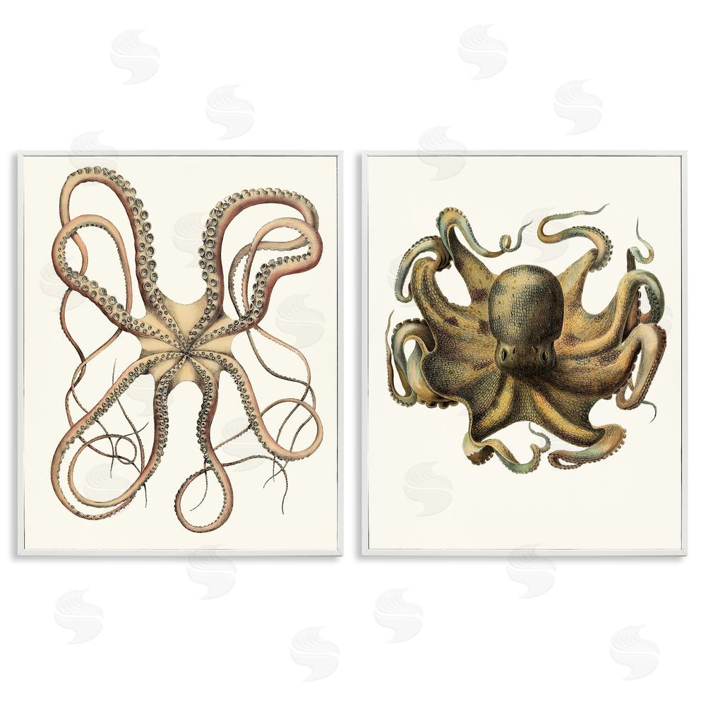 Unknown Artist Vintage Octopus Illustration Curved Tentacles White Framed Giclee Wall Art Print