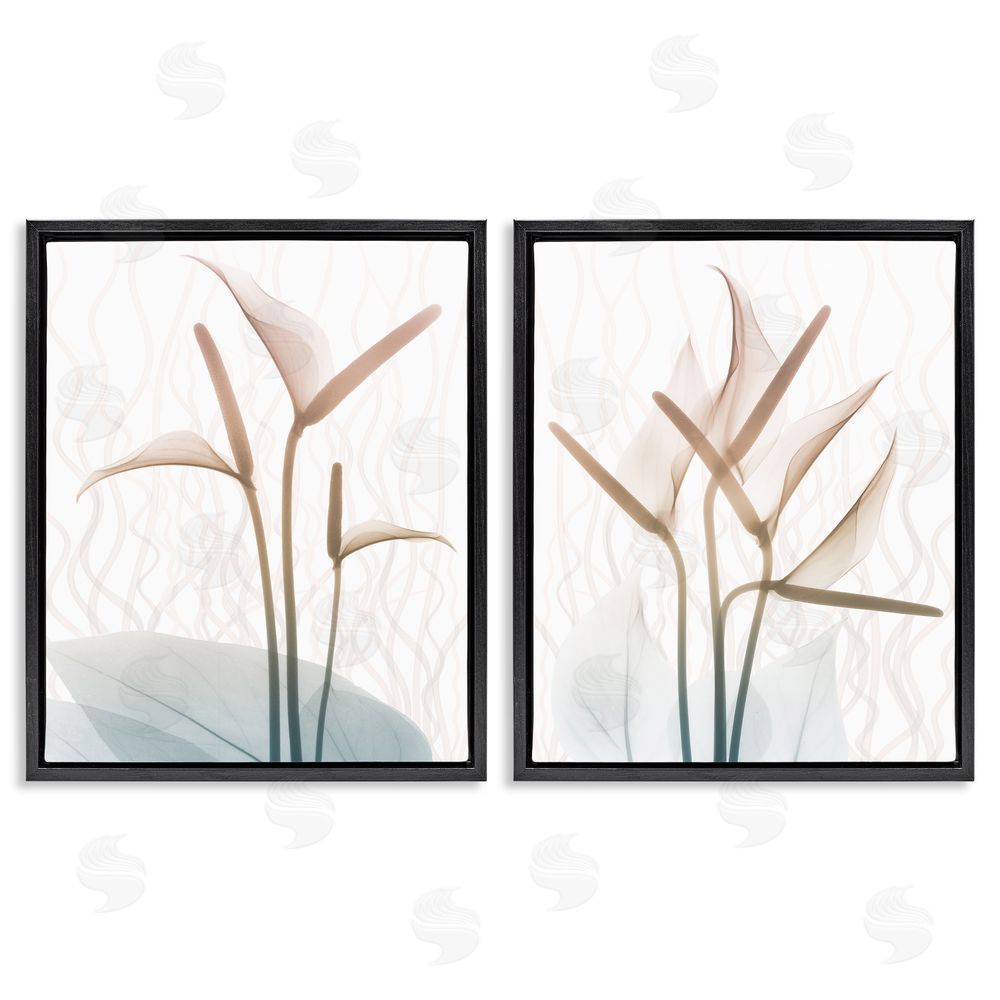 Albert Koetsier Floral Calla Lily Silhouette with Leaf Details Black Floating Frame Canvas Wall Art Print