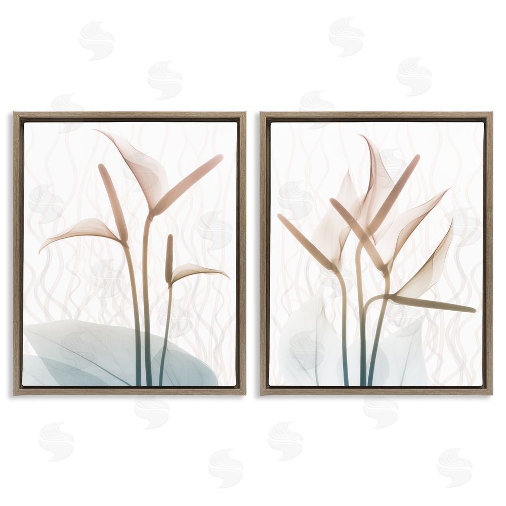 Albert Koetsier Floral Calla Lily Silhouette with Leaf Details Brown Floating Frame Canvas Wall Art Print