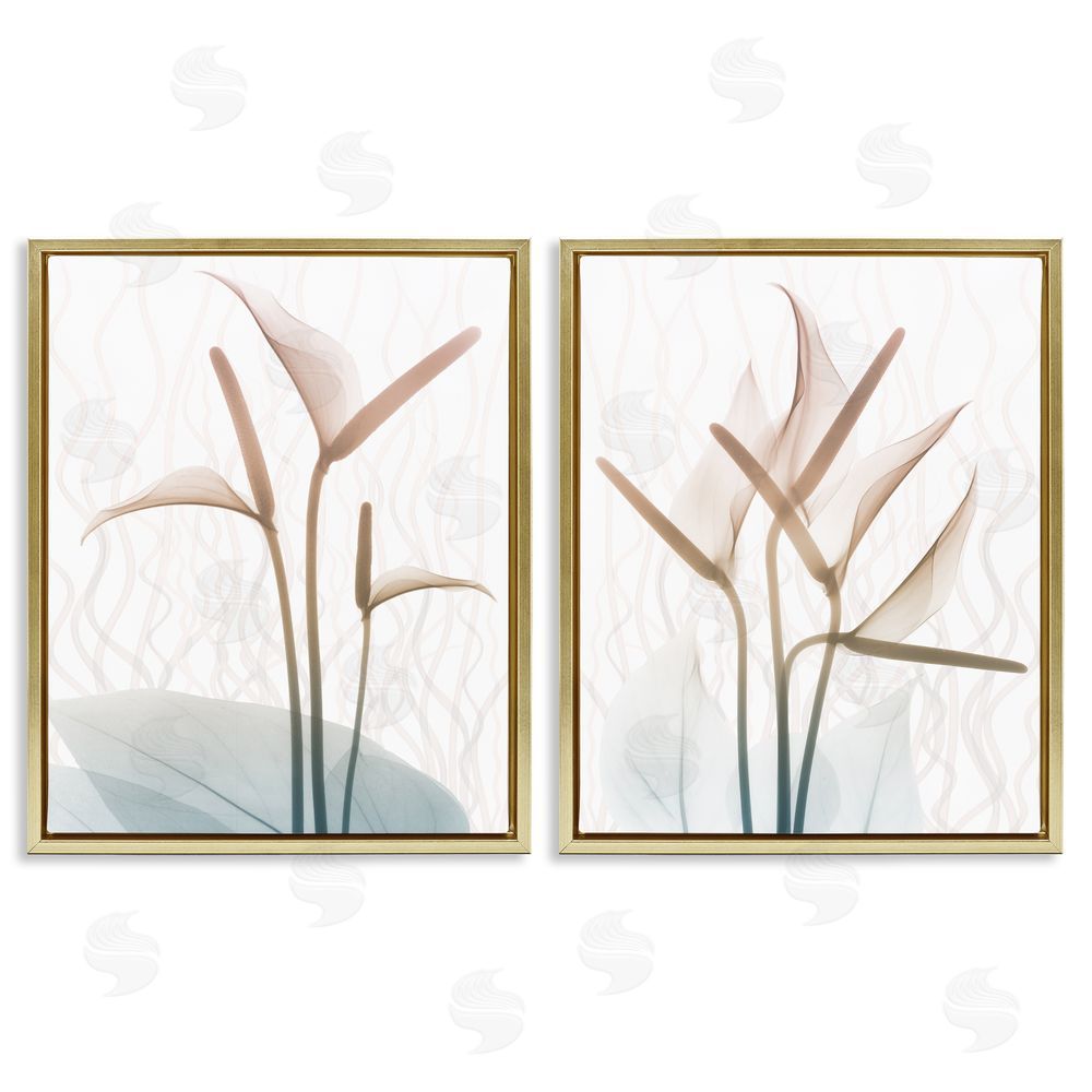 Albert Koetsier Floral Calla Lily Silhouette with Leaf Details Gold Floating Frame Canvas Wall Art Print