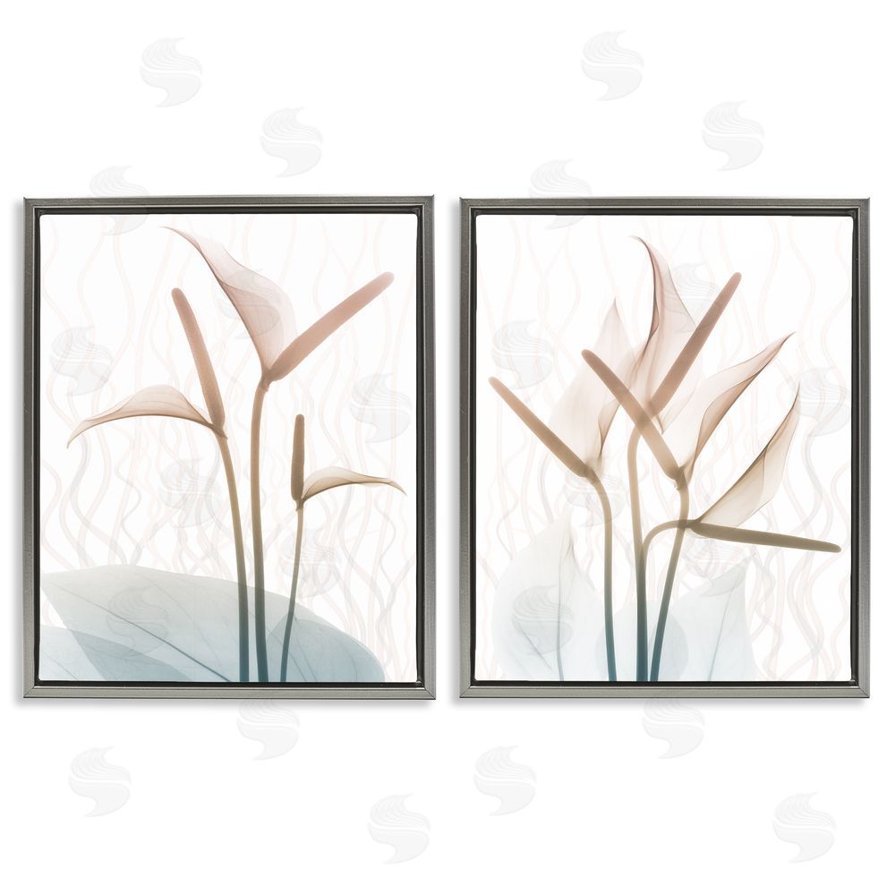 Albert Koetsier Floral Calla Lily Silhouette with Leaf Details Gray Floating Frame Canvas Wall Art Print