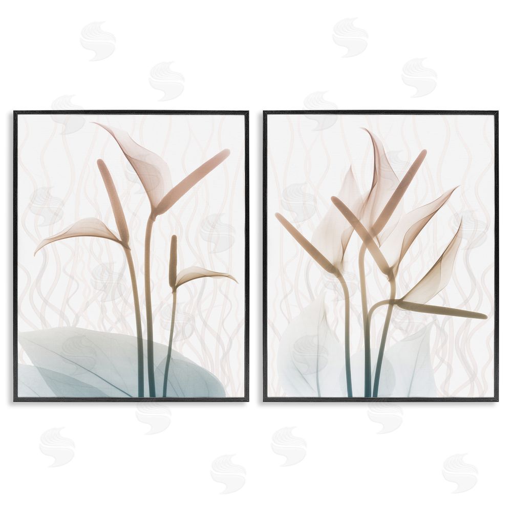 Albert Koetsier Floral Calla Lily Silhouette with Leaf Details Black Framed Giclee Wall Art Print
