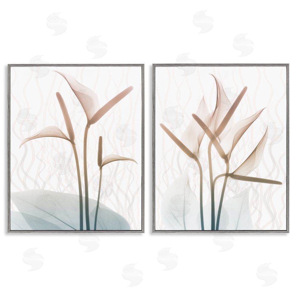 Albert Koetsier Floral Calla Lily Silhouette with Leaf Details Gray Framed Giclee Wall Art Print