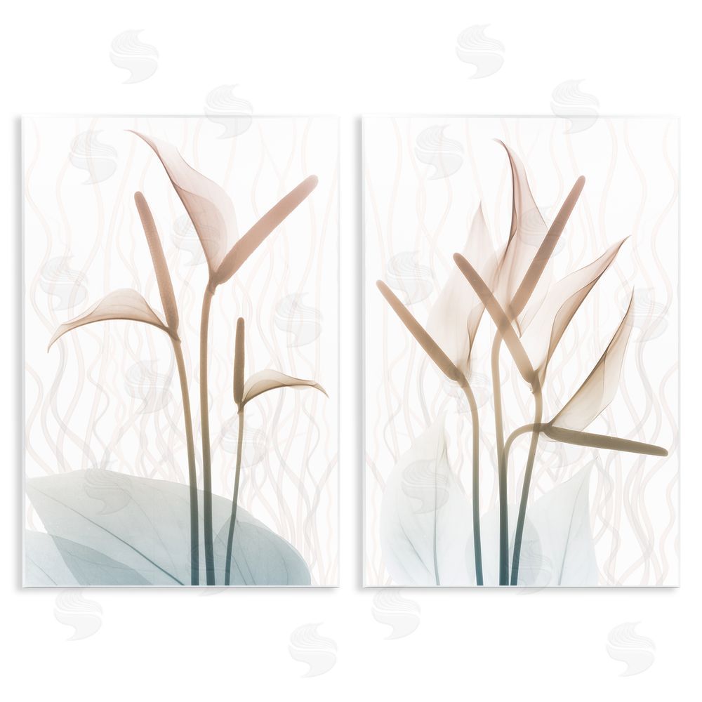 Albert Koetsier Floral Calla Lily Silhouette with Leaf Details Wooden Wall Plaque Art Print