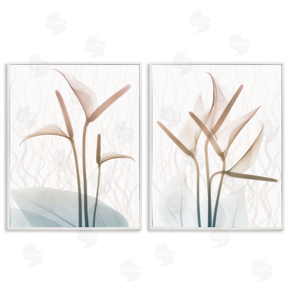 Albert Koetsier Floral Calla Lily Silhouette with Leaf Details White Framed Giclee Wall Art Print