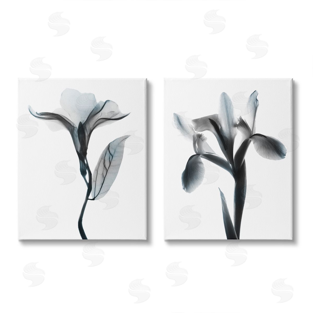 Albert Koetsier Opaque Oleander Silhouette Minimal Floral Canvas Wall Art Print