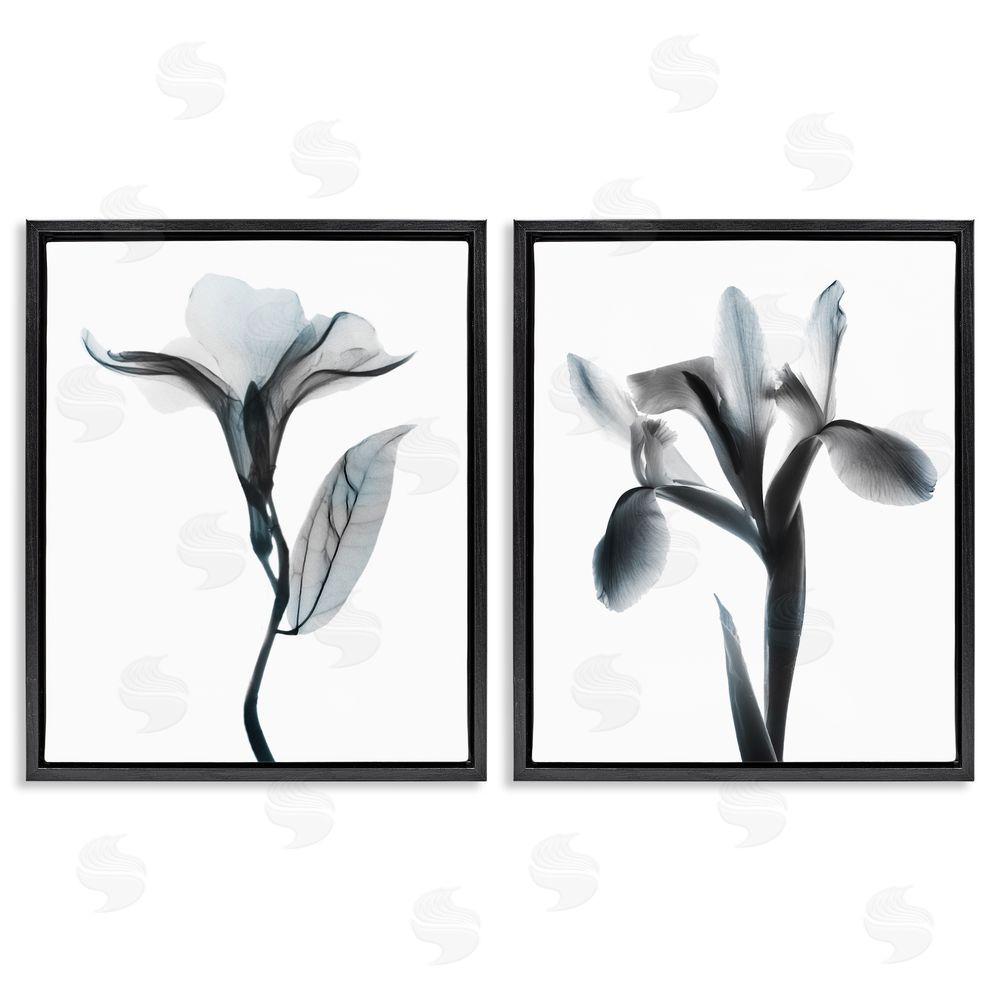 Albert Koetsier Opaque Oleander Silhouette Minimal Floral Black Floating Frame Canvas Wall Art Print