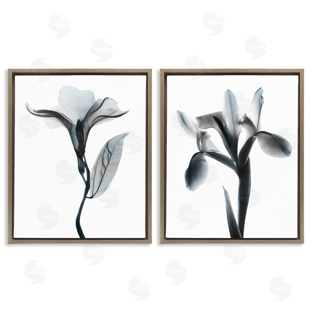 Albert Koetsier Opaque Oleander Silhouette Minimal Floral Brown Floating Frame Canvas Wall Art Print