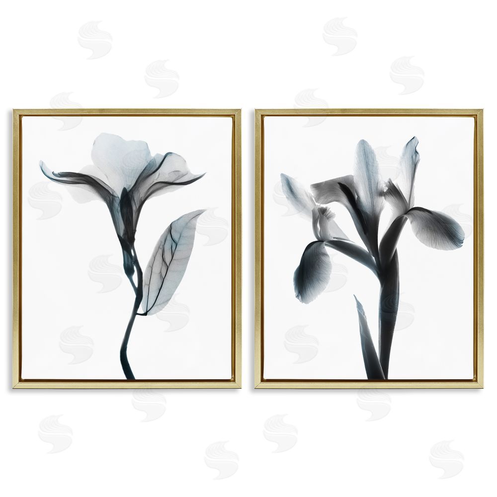 Albert Koetsier Opaque Oleander Silhouette Minimal Floral Gold Floating Frame Canvas Wall Art Print