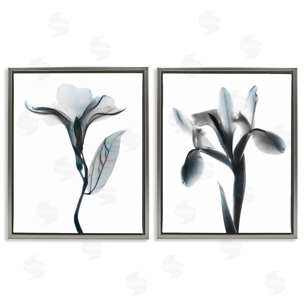 Albert Koetsier Opaque Oleander Silhouette Minimal Floral Gray Floating Frame Canvas Wall Art Print