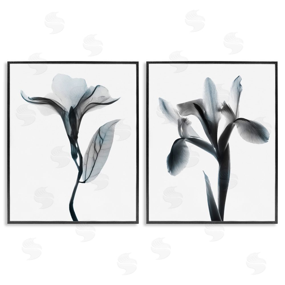 Albert Koetsier Opaque Oleander Silhouette Minimal Floral Black Framed Giclee Wall Art Print