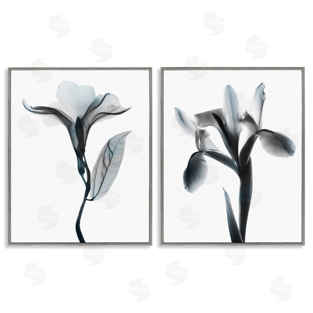 Albert Koetsier Opaque Oleander Silhouette Minimal Floral Gray Framed Giclee Wall Art Print