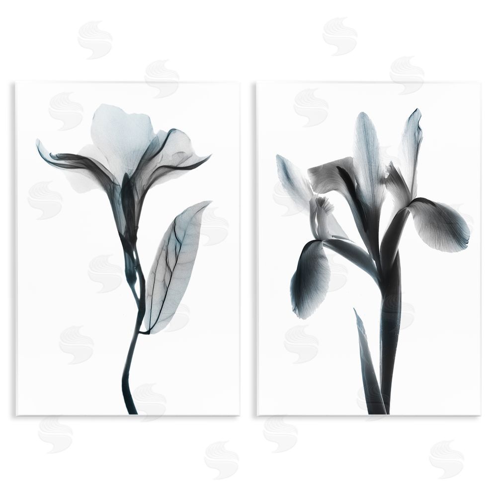 Albert Koetsier Opaque Oleander Silhouette Minimal Floral Wooden Wall Plaque Art Print