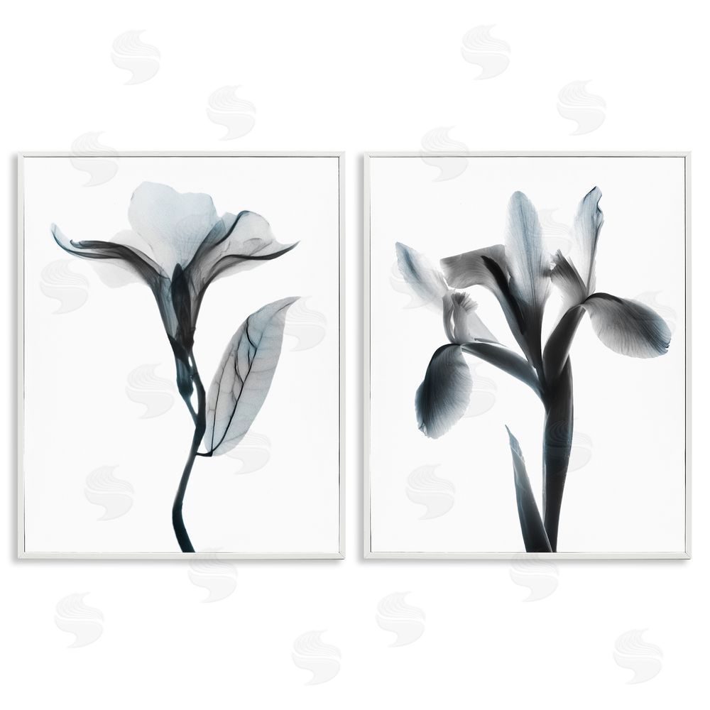 Albert Koetsier Opaque Oleander Silhouette Minimal Floral White Framed Giclee Wall Art Print