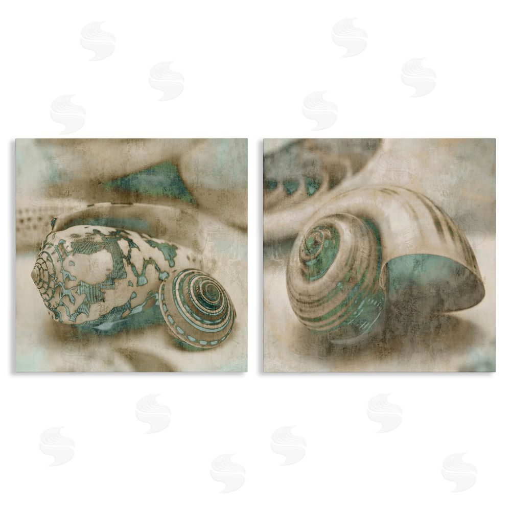 John Seba Distressed Sepia Shells with Turquoise Canvas Wall Art Print