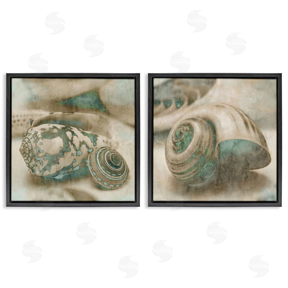 John Seba Distressed Sepia Shells with Turquoise Black Floating Frame Canvas Wall Art Print