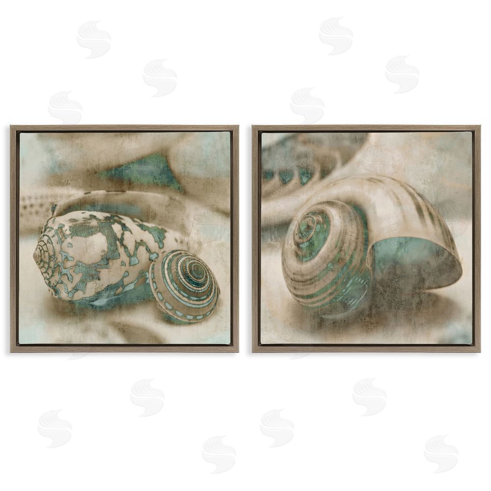 John Seba Distressed Sepia Shells with Turquoise Brown Floating Frame Canvas Wall Art Print