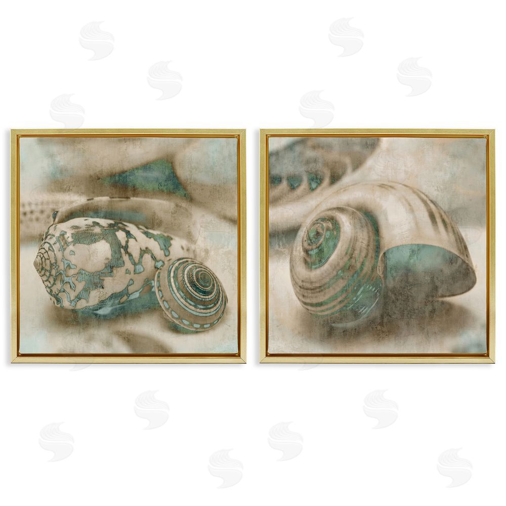 John Seba Distressed Sepia Shells with Turquoise Gold Floating Frame Canvas Wall Art Print