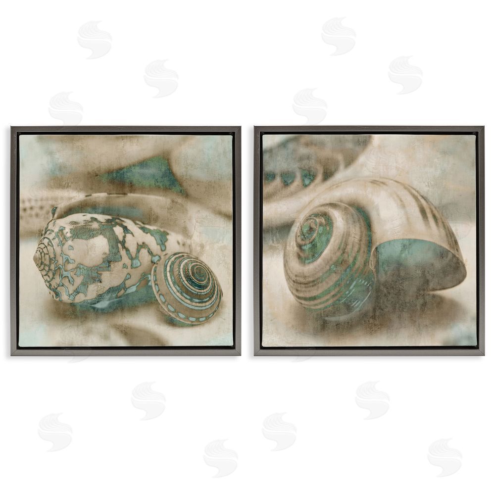 John Seba Distressed Sepia Shells with Turquoise Gray Floating Frame Canvas Wall Art Print