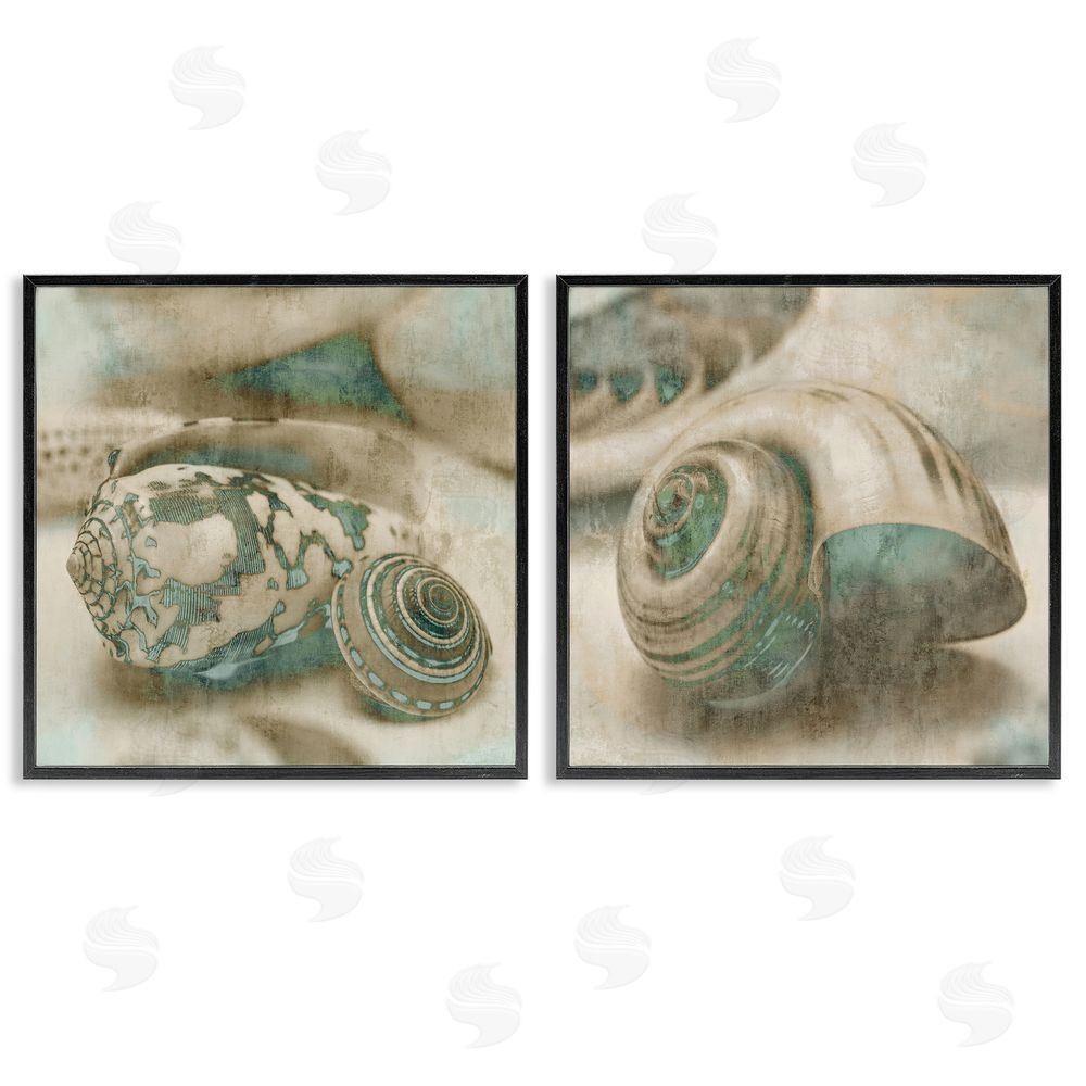 John Seba Distressed Sepia Shells with Turquoise Black Framed Giclee Wall Art Print