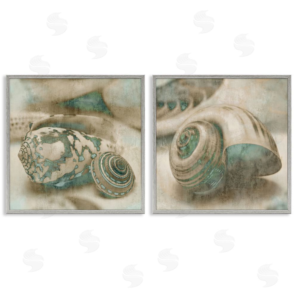 John Seba Distressed Sepia Shells with Turquoise Gray Framed Giclee Wall Art Print
