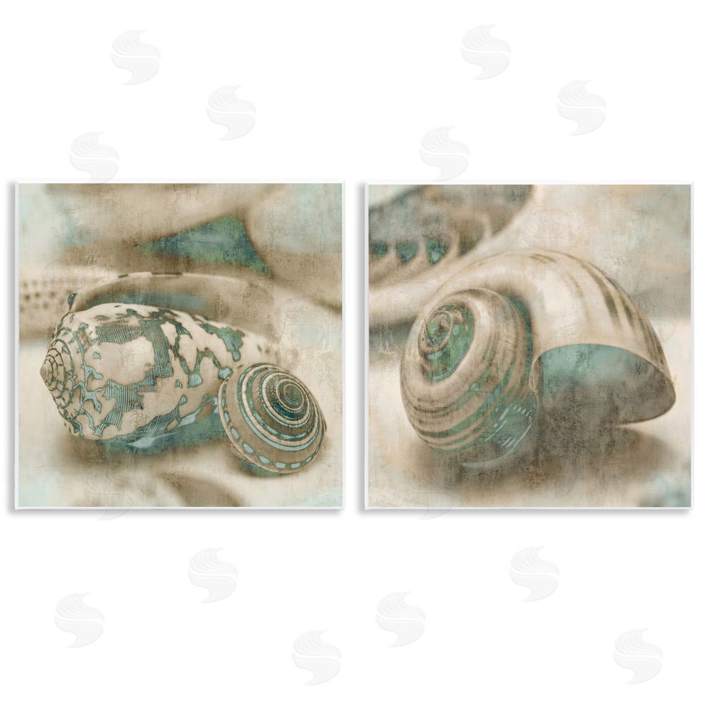 John Seba Distressed Sepia Shells with Turquoise Wooden Wall Plaque Art Print