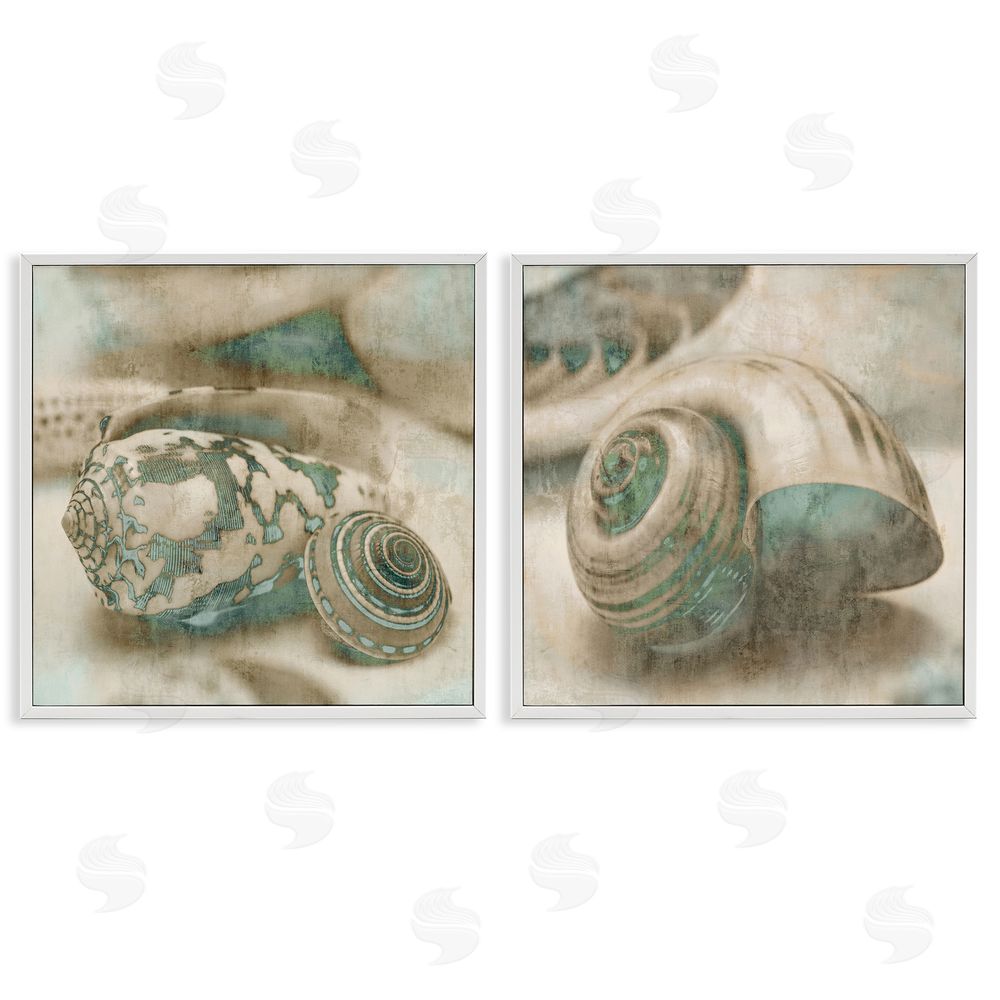 John Seba Distressed Sepia Shells with Turquoise White Framed Giclee Wall Art Print