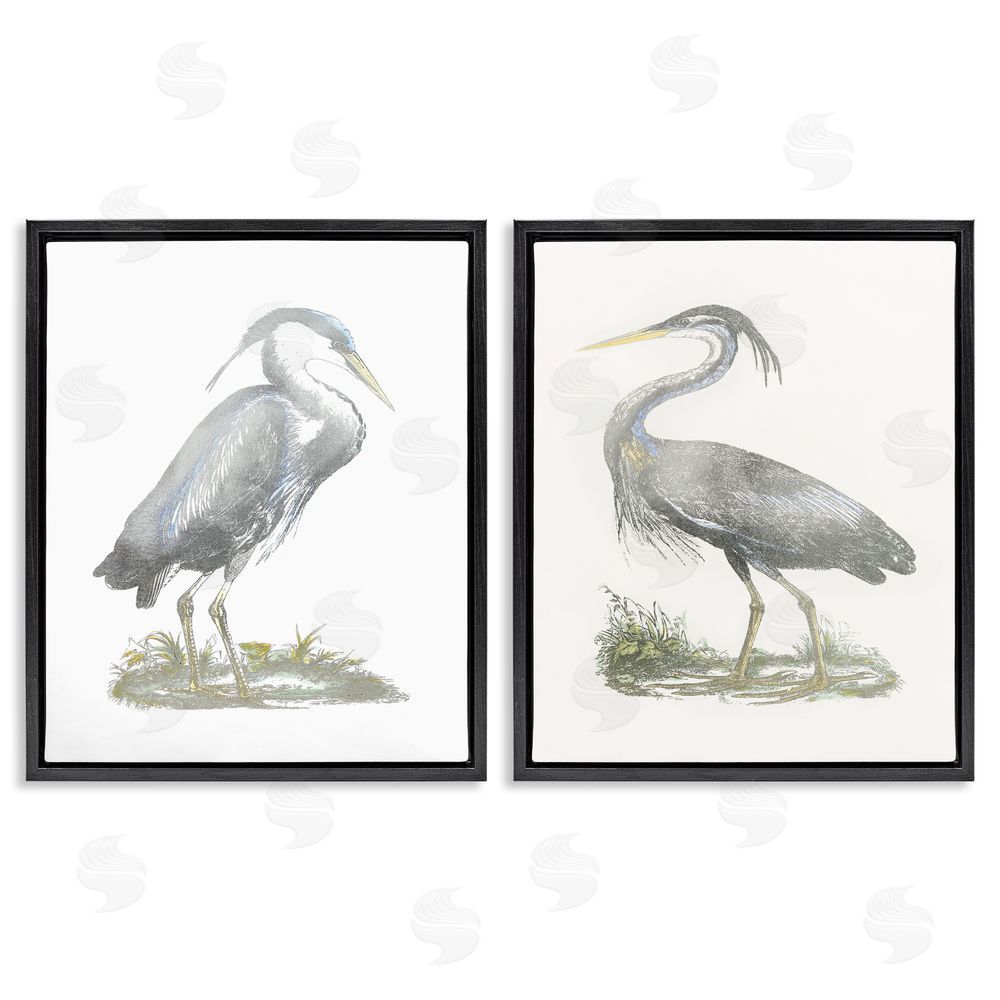John Selby Minimalist Vintage Cranes Marshland Birds Black Floating Frame Canvas Wall Art Print