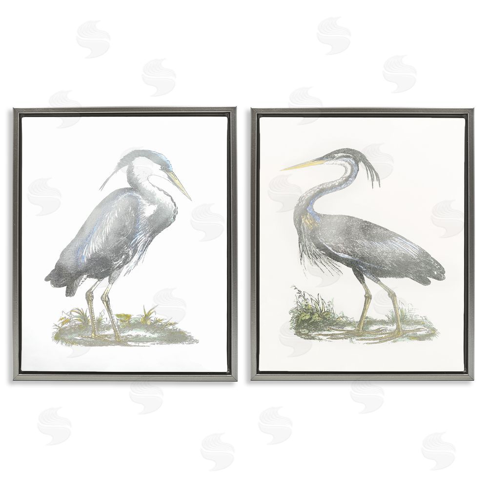 John Selby Minimalist Vintage Cranes Marshland Birds Gray Floating Frame Canvas Wall Art Print