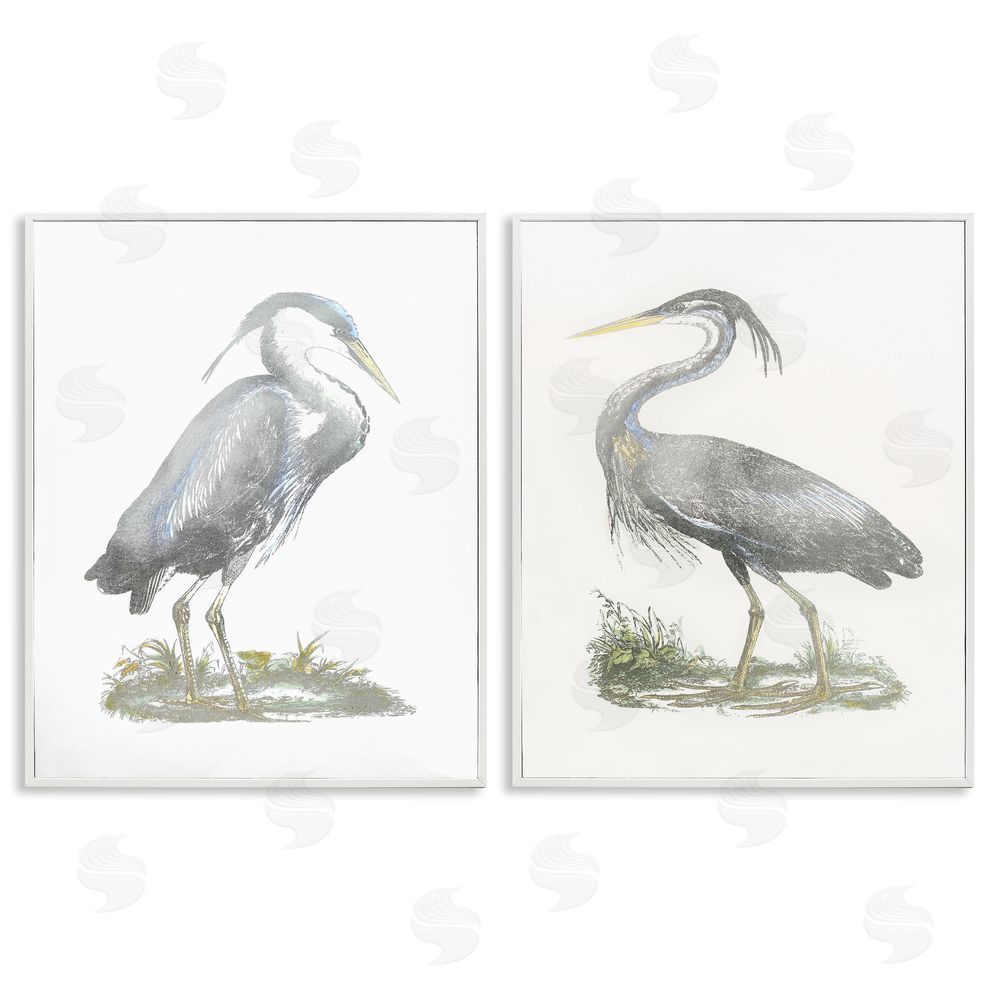 John Selby Minimalist Vintage Cranes Marshland Birds White Framed Giclee Wall Art Print