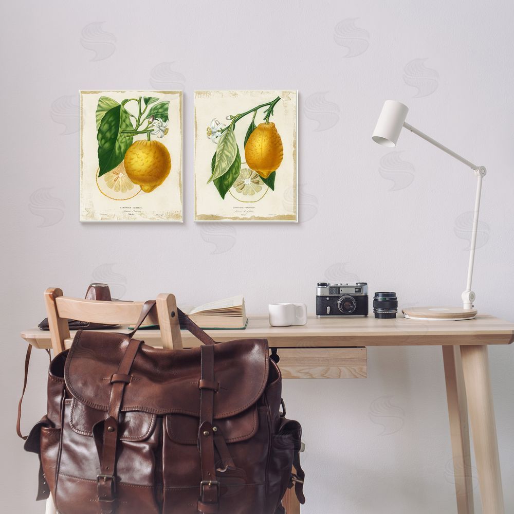 Studio W Floral Lemon Branch with French Script Canvas Wall Art Print in Room